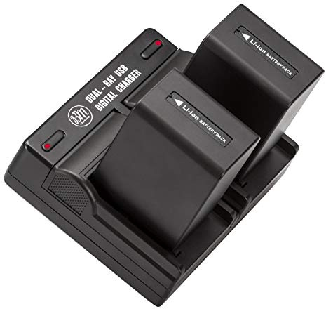 BM Premium 2 NP-FV100A High Capacity Batteries and Dual Bay Charger for Sony FDR-AX30 FDR-AX33 AX53 FDR-AX700 FDR-AX100 FDR-AX35 HXR-MC50 HXR-MC88 HX-RNX80 PXW-Z90V NEX-VG20 VG30 NEX-VG900 Camcorders