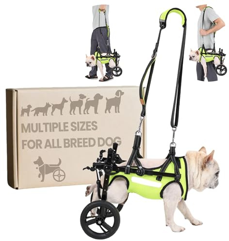 Dog Wheelchair for Back Legs, for Small Breed Dog - Includes High-Visibility Vest, Leash & Sling Lift, for Arthritis, Paralyzed, Injured, or Disabled Dogs (Medium, for Small Breed Dog)