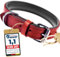 Schnüffelfreunde Halsband für Hunde aus Leder, Hundehalsband für den großen, mittleren und kleinen Hund, Lederhalsband gepolstert, robust (XXL - 55-65cm, Rot)
