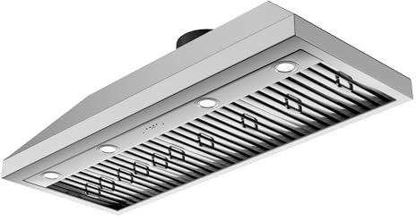 DOMINEVA 48 Inch Ducted Range Hood Insert,1150CFM Built-in Kitchen Vent Hood with 4-Speed Exhaust Fan&LED Light,Stainless Steel