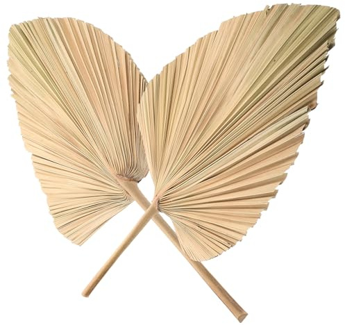 minkissy Decoraciones de Hojas de Palma Secas en Forma de Corazón para Boda, Abanicos de Palma Natural 2piezas para Decoración Floral y Hogar