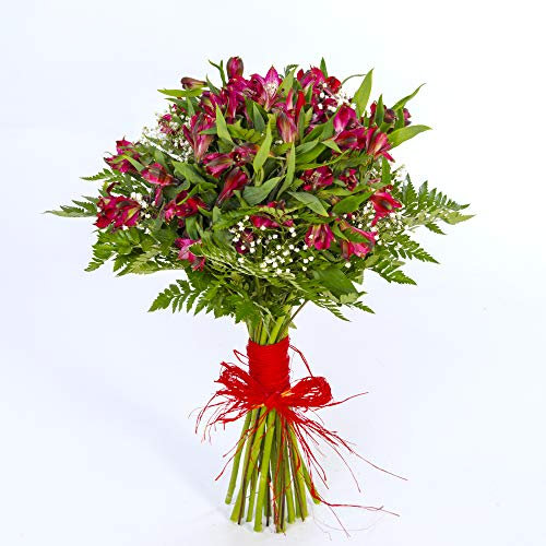 REGALAUNAFLOR | Ramo de flores naturales a domicilio | Entrega puntual en 24 horas de Lunes a Sábado | Con tarjeta de dedicatoria | Alstroemeria roja