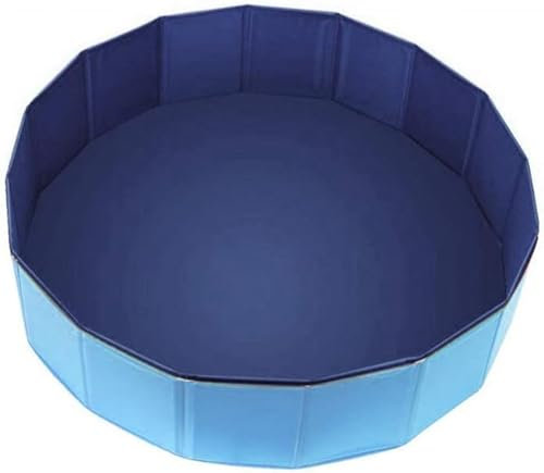 RASPIO Piscina para Perros y Caja de Parto Plegable, Piscina de plástico y bañera para Perros, Piscina portátil para partos y baños(Blue,160 * 30cm)