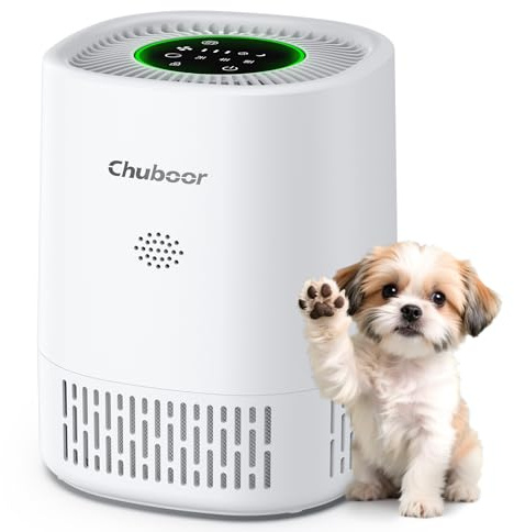 Purificador de aire alérgico para dormitorio, purificador de aire CADR 240 m³/h para habitaciones de fumadores, 3 temporizadores, 4 velocidades, modo de sueño, H13 HEPA aire limpiador para pelo de