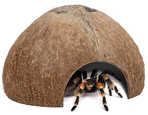 Lot de 2 cachettes naturelles en noix de coco pour reptiles, lézard, araignée et poissons d'aquarium (surface naturelle)