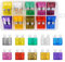 Colexy 50Pcs Fusibles Coche Kit + 1 Clip para Fusibles, Mediano Fusible Coche, Automóvil Fusible para Coche/Caravanas/Furgoneta/Moto (3A 5A 7.5A 10A 15A 20A 25A 30A 35A 40A)