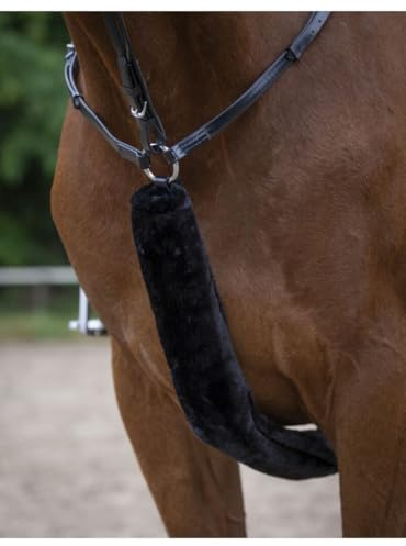 EQUITHÈME „Teddy Vorderzeugschoner, Warmblut, schwarz