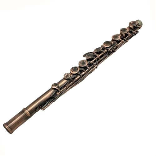 tvärflöjt instrument Flöjt C Key Nybörjare som spelar instrument