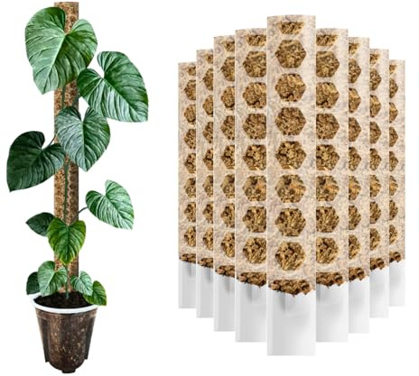 Nils der Växtfreund® mosspinne [PlantScraper] 20 cm (XS)/10 stycken/matt | växtstav | mosspoler | spaljé | utbyggbar mossstång | mossstavar | plantstolpe inomhus | mossstav för monstera