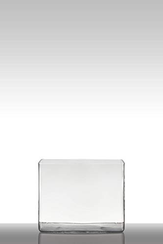 INNA-Glas Maceta de Cristal MIRJA, Rectangular, Transparente, 25x18x20cm - Jarrón de Vidrio - Florero Decorativo