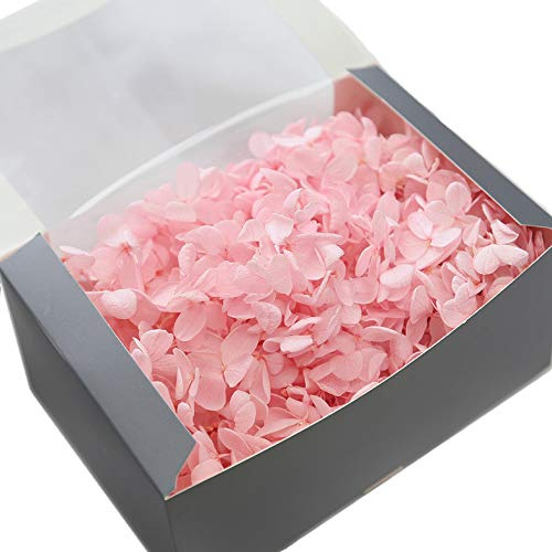 JWShang Hortensias preservadas, flores exquisitas flores inmortales de lujo decoración del hogar, bricolaje, regalo para amantes del día de la madre, cumpleaños, regalos de San Valentín