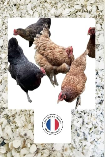 14,5KG de Coquilles d'Huîtres Françaises Naturelles, hygiénisées, calibrées et broyées pour volailles - Haute Teneur en Calcium: 36 à 38% et Oligo éléments (14,5 kg)