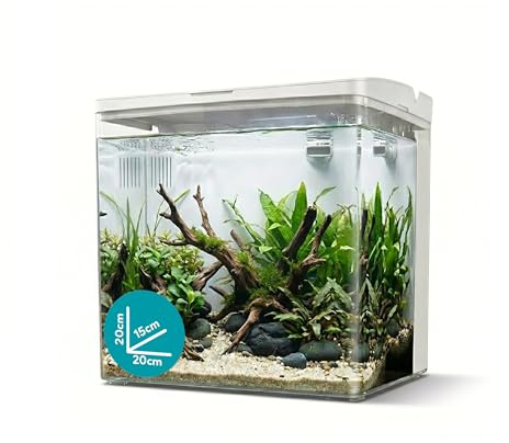 AQPET NEYA Skrivbordsakvarium med filter och pump ingår, LED 5 lägen och USB-portar – mini akrylakvarium med flip-lock, perfekt för Betta, karidin och vattenväxter 5 liter (vit)