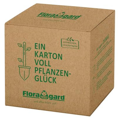 Floragard Zitrus- u. Mediterranpflanzenerde in der Box 60 Liter