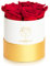 Amoroses Petite - Geschenkbox 5 ewige stabilisierte Rosen - Eleganter Strauß echter Blumen | Geschenkidee (Petite Weiße Schachtel mit Roten Rosen)