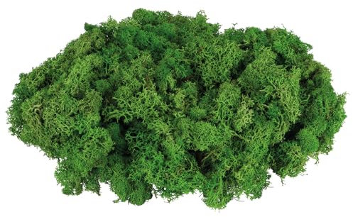 com-four® 250g Oster-Dekomoos – Bastel-Moos, Naturmoos, echtes Deko-Moos zum Basteln & Dekorieren, Moos für Osterdeko, Frühling, Tischdeko, Kränze, Nester, Modellbau & Natur (Deko-Moos - 250g)