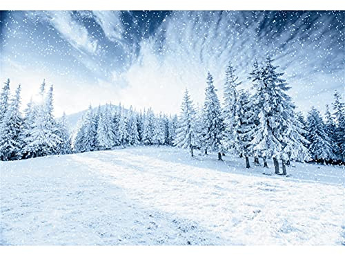 Toile de Fond de Neige 300x200cm Hiver Montagne forêt Neige scène Fond enneigé forêt Montagne Photographie Fond pour Les bannières de décoration de fête de noël du Nouvel an