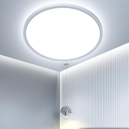 OTREN Plafoniera LED Soffitto, Lampada da Soffitto 6500K, Lampadario Bagno Rotonda per per Camera da Letto, Bagno, Cucina, Soggiorno, Ufficio, Balcone, Ø23CM