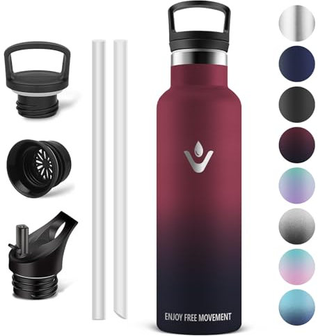 Vikaster Borraccia Sportiva 750ml in Acciaio Inox - Senza Perdite, Con Cannuccia, Termica per Adulti, Scuola, Outdoor
