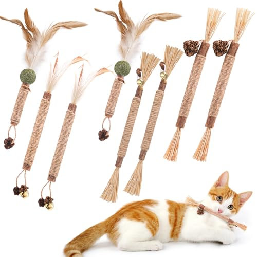 Partideal 8 Stück Katzenminze Stick Set, Katzenspielzeug zur Katzen zähne reinigen & Unterhaltung - Kauen, Beißen & Spielen für Indoor-Katzen, Passend für Jung- und Erwachsene Katzen