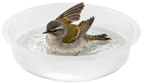 Plateau mangeoire pour Oiseaux, Coupelle d'eau Ronde, Abreuvoir de Rechange Oiseaux, pour balcons, terrasses, Jardins, Cours, clôtures, Deck, moineaux, pinsons