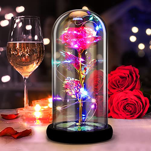 DASIAUTOEM Rose Eternelle, Rose la Belle et la Bete sous Cloche, Fleurs Eternelles Lumières LED Colorées dans Un Dôme en Verre, Idée Original Cadeau pour Saint Valentin Amie Femme Maman Anniversaire
