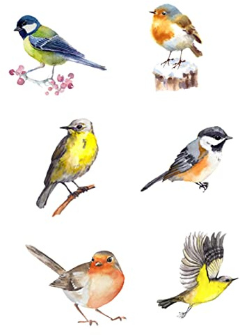 ULTECHNOVO 6 Piezas Pegatinas Anticolisión para Ventanas de Pájaro de Vinilo Decorativo sin Adhesivo Diseño para Protección de Aves y Decoración de Dormitorios