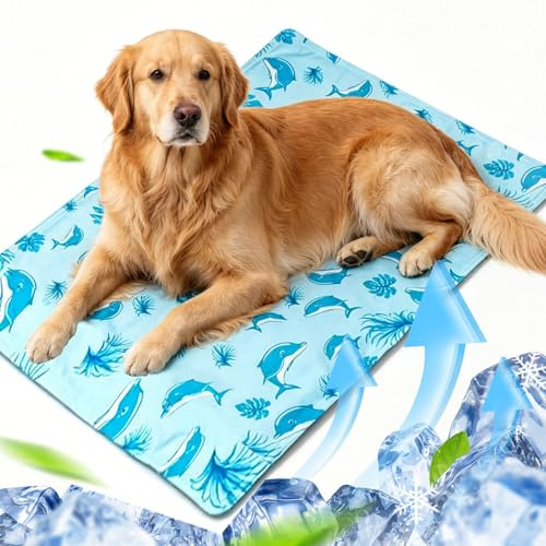 JRTYMLU Manta Refrescante para Perros Lnyección De Agua 60 * 90cm,Cama Refrescante Perro con Gel No Tóxico,Resistente Los Arañazos,Perros Grandes,Medianos y Pequeños Verano y Viajes-Azul