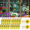 20X Trappola Mosche Carta Moschicida ed 12X Trappola per Mosche da Finestra Acchiappa Mosche a Forma di Girasole, 32 Trappole per Mosche in Totale, Cattura Mosche Ammazza Mosche Anti Moscerini