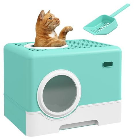 PawHut Arenero para Gatos Inodoro para Mascotas con Pala Bandeja Extraíble 2 Puertas Entrada Principal y Salida Superior 52x41x38,5 cm Verde