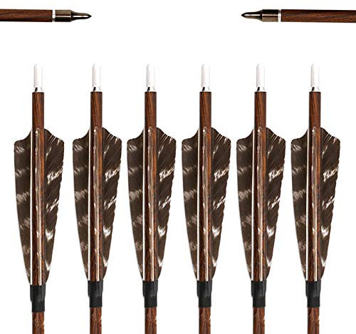 6 Stück Carbon Pfeile für Bogenschießen, 31 Zoll Carbonpfeile Bogenpfeile Zielübungspfeile mit Naturfedern, Jagdpfeile für Compound Bogen, Recurvebogen, Langbogen und Traditionellen Bogen (Spine 600)