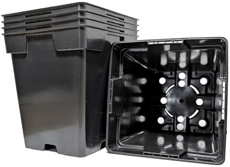 Elixir Gardens Square Plant Pot | 1 Litre Black Recycled Plastic Nursery/Seedling or Cuttting Pots x 25