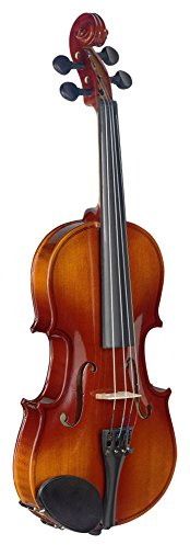 Stagg 22369 Size 1/2 Maple Violin with Standard Shaped Soft Case