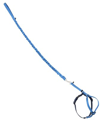 PetSafe Come With Me Kitty Harness and Bungee Leash, Harness for Cats, Medium, Royal Blue/Navy