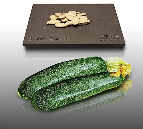 15 graines à semer - Le Grenier d'Abondance - COURGETTE Diamant Hybride F1 - Cucurbita Pepo