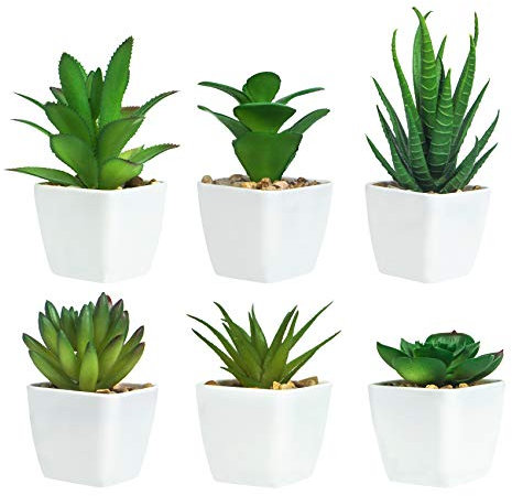 Ouddy Daily 6 Pezzi di Piante Succulente Artificiali in Vaso, Piante Succulente Artificiali Verdi, Utilizzate per Scrivania, Ufficio, Soggiorno e Decorazione della Casa