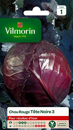 Vilmorin - Chou Rouge tête Noire 3 - pour Les récoltes d'hiver Jusqu'au Printemps - variété Traditionnelle