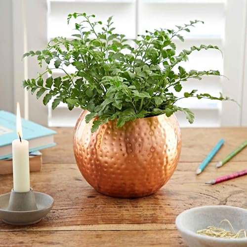 Hammered Iron Round Planter - Small Handmade Vase - Copper Plated Bowl - Indoor Plant Pot - Mottled Metal Effect - Small Houseplant Pot