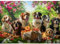 MISITU Puzzle 1000 Teile Erwachsene Puzzle - Hunde im Garten - Tierpuzzle für Erwachsene und Kinder ab 14 Jahren - 70 x50cm