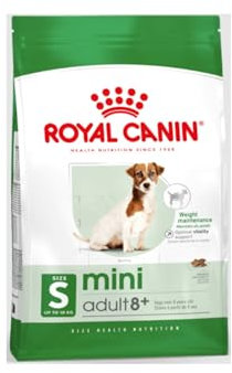 Royal Canin Mini Adult 8+ | 800 g | Alleinfuttermittel für ältere Hunde kleiner Rassen | Ab dem 8. Lebensjahr | Abgestimmter Energiegehalt und angepasste Krokettengröße