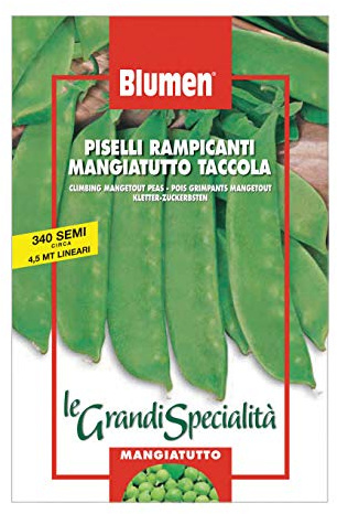 BLUMEN SEMENTI, PISELLI RAMPICANTI MANGIATUTTO TACCOLA