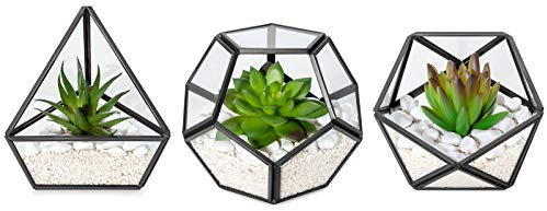Mkono Artificial Succulent in 3 Pack Mini Glass Geometric Terrarium, Miniature Potted Faux Plant Bookshelf Desk Boho Office Room Decor for Women Girls Dorm Gift Idea, Black