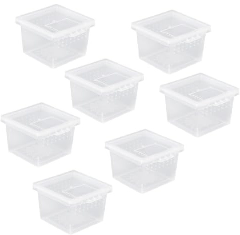 Toyvian 10 Pièces Boîte à Insectes pour Reptiles et Araignées en Pp Couvercle Anti-évasion, Mini Terrarium Pratique pour Nourrir et Élever Facilement Vos Petits Animaux