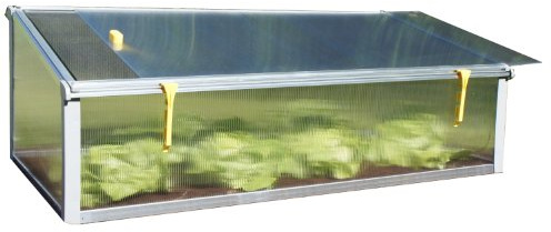 Year Round Cold Frame