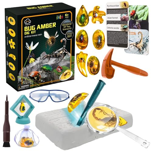 SilverChry Kit Insecte Enfant pour 6 Ans, Cadeau Minéraux Insecte, Excavation Insectes Pierre, Insecte Enfant Dig Kit, Insectes Kits Éducatifs de Sciences, Pierre Précieuse Insecte Science et Jeu