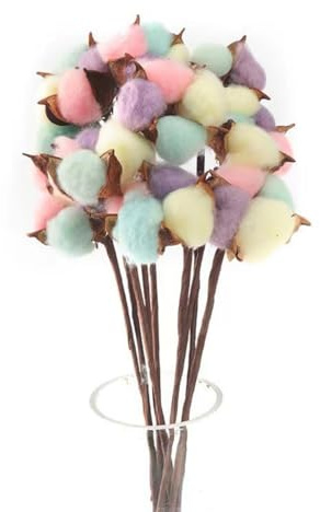 10 Pack Fleurs de Coton Sechee Naturelle Fleurs Sechees Tige Coton Fleur Naturel Fausses Branches Coton Fausses Plantes Décoration