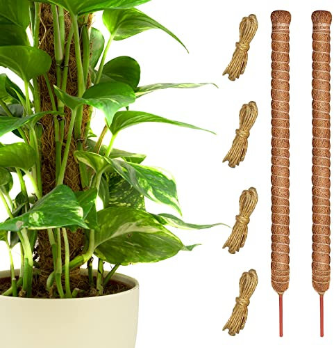 ARSUNOVO Moosstange für Pflanzen, Monstera, Kletterpflanzen, Stäbe für Zimmerpflanzen, biegbar, perfekt für große Topfpflanzen, 71,1 cm, 2 Stück