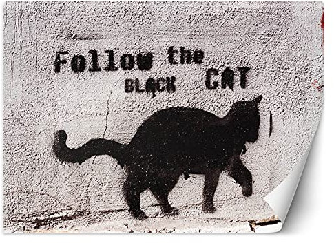Feeby Photo Murale Intisse Graffiti Art Urbain Spray Art 350x245 cm gris Déco Murale Tableaux Muraux À La Maison Chambre à Coucher, Salon, Chambre D'amis Chat Noir Inscription