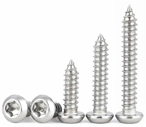 HAISHANG 50 Pezzi Viti a Testa Bombata Torx，M4x16mm Viti Autofilettanti per Legno A2 V2A Autoperforanti a Testa Tonda in Acciaio Inossidabile