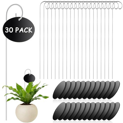 Lot de 30 étiquettes pour plantes - Étiquettes de jardin avec stylo - Marqueurs de plantes pour le jardin en plein air - Étiquettes pour plantes en pot - Graines et fleurs